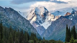 Сыновья Беки 11