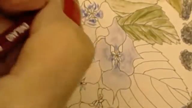 derwent pastel pencils om my doodle colour book page смотреть онлайн