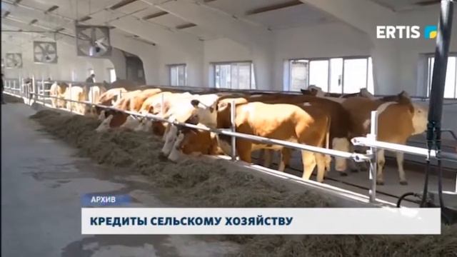 КРЕДИТЫ СЕЛЬСКОМУ ХОЗЯЙСТВУ