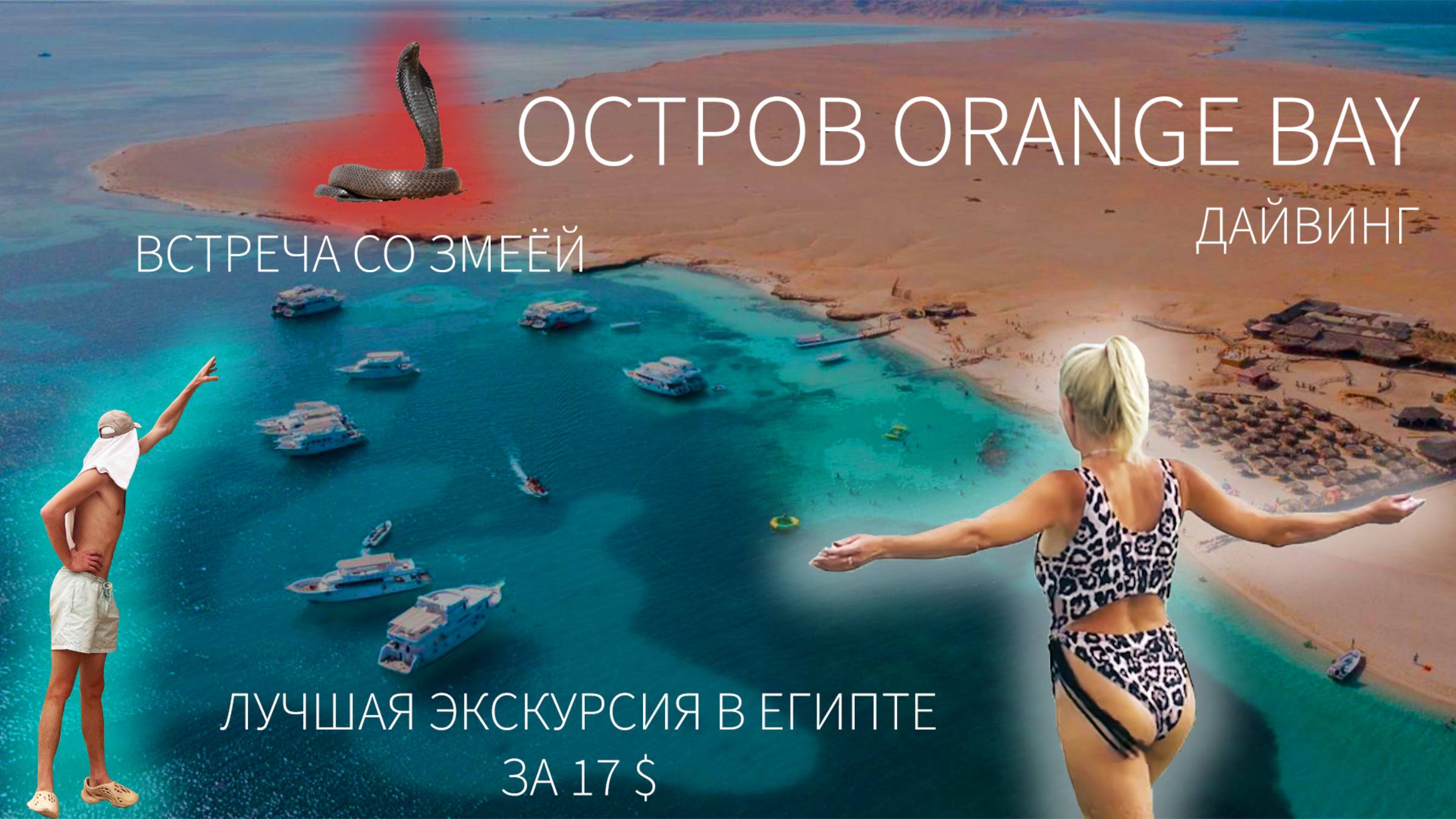 ЗА 17$ НА РАЙСКИЙ ОСТРОВ! Оранж Бей: Дайвинг, дельфины и ЗМЕИ...