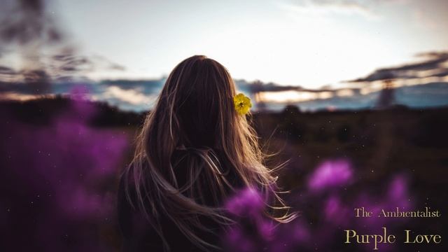 The Ambientalist - Purple Love - The Ambientalist (1080p, h264)