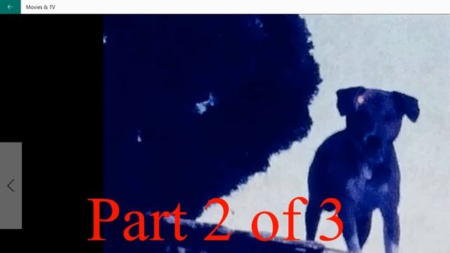 Wolverine MovieMaker film speed change Part 2 of 3 смотреть онлайн