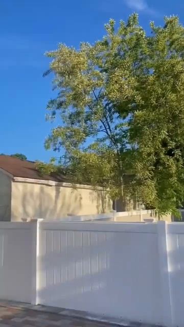 When you play Horse 🤣🏀 #comedy #funny #basketball смотреть онлайн