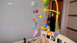 Как получить региональную выплату за рождение первенца?