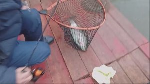 Открытие весеннего форелевого сезона на Спорт-зоне. Клёвое место Лосиный остров.