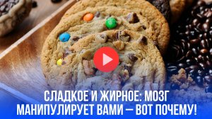 Сладкое и жирное – вот что творится в мозге: сенсационное открытие ученых!