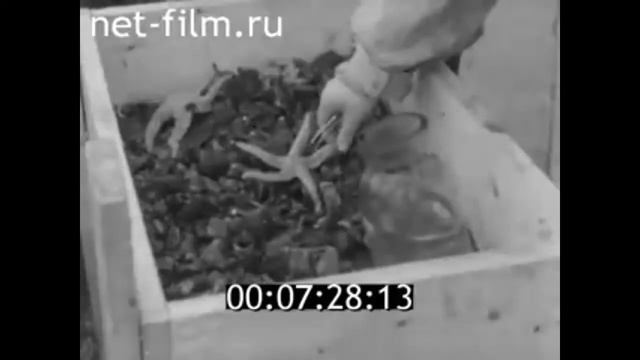 1962г. Карельский филиал АН СССР смотреть онлайн