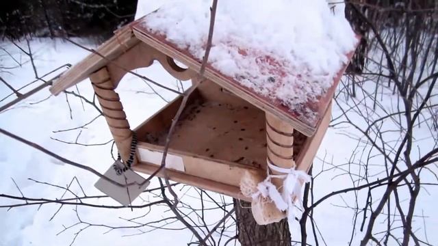ЗИМА В ПАРКЕ смотреть онлайн