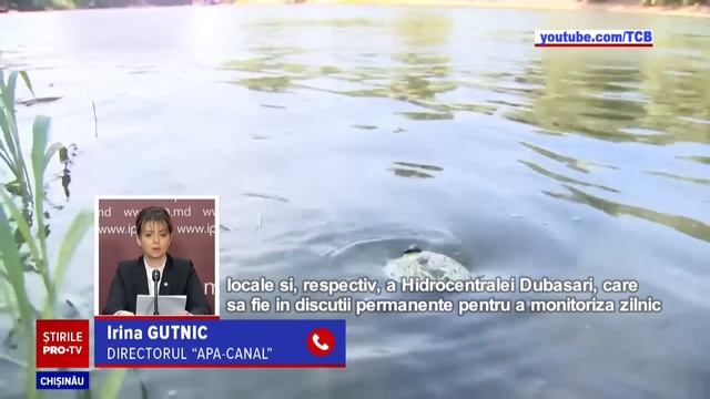 Stirile PROTV 18 Iulie (ORA 20:00) смотреть онлайн