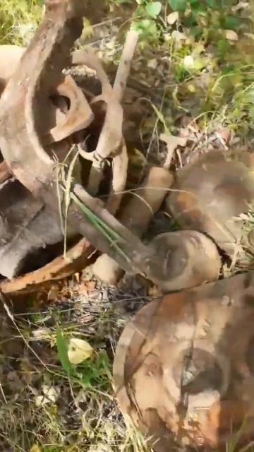 металлокоп 2023#рекомендации #цены смотреть онлайн