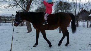 Ребёнок на лошади без седла)