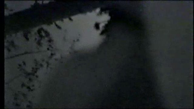 соданкюля-лес_1999