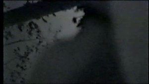 соданкюля-лес_1999