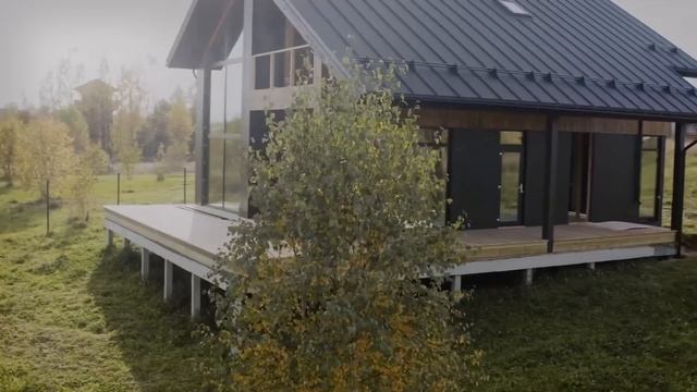 Мужчина думал, нашел котенка со странными глазами, но ветеринар поверг всех в шок своим ответом!