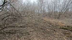 Проход от Навершковского пруда к южному склона оврага на котором стояла деревня Очаково.