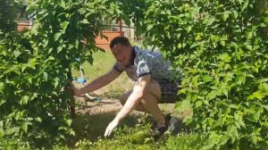 Mr.Den - Я люблю путешествовать