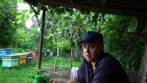 Что делать с трутовой пчелиной семьей на пасеке?