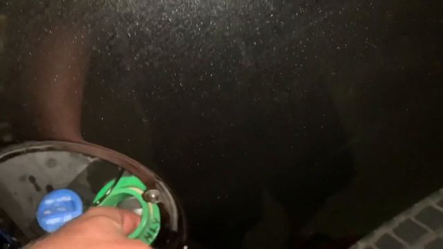 Решил проверить правда ли что чёрная кошка дорогу перебегает к несчастью. смотреть онлайн