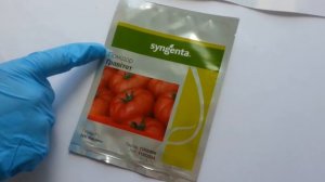 Антифейк. Часть 11. Семена томата Гравитет F1 Syngenta