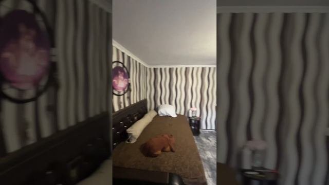 дом