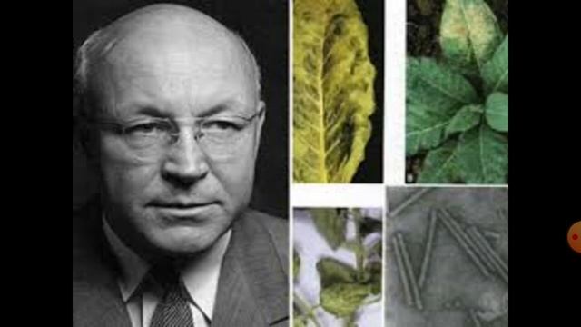 Introduction of viruses B.sc fy смотреть онлайн