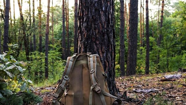 Рюкзак в летнем лесу. / Backpack in the summer forest.