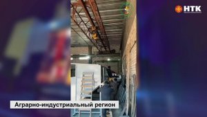 В Калмыкии увеличивается строительство откормочных комплексов