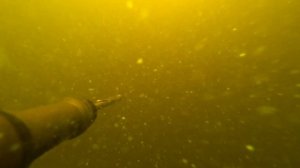 Вот так выглядит подводная охота при наличии рыбы