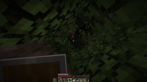 Выживание в Minecraft без еды