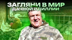🌟 Загляните в мир дачной идиллии! 🌿