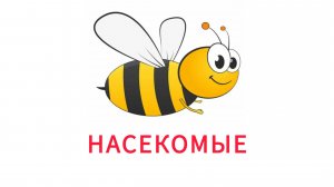 УЧИМ НАСЕКОМЫЕ для детей развивающие мультики обучающее познавательное видео для малышей на русском