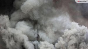 Видео к лекции 8 Воздействие человека на природу