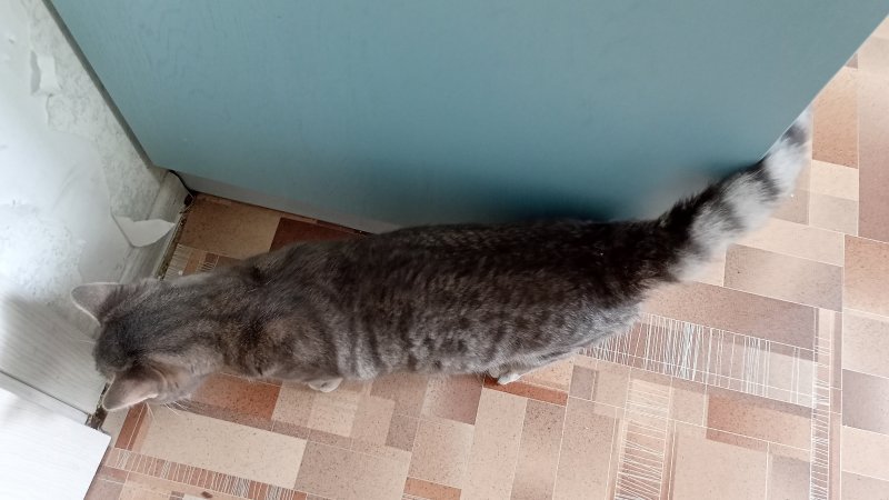 что такое