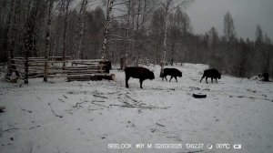 Видео от Национальный парк &quot;Смоленское Поозерье&quot; (2)