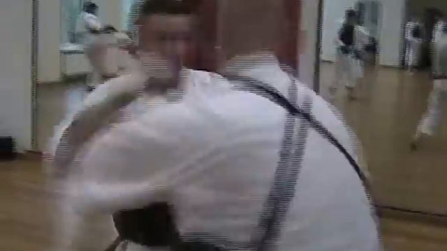 少林寺拳法 Shorinji Kempo Russian team preparation on European Taikai 2007