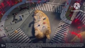 МТС QR-Кот Реклама 2023 Наоборот