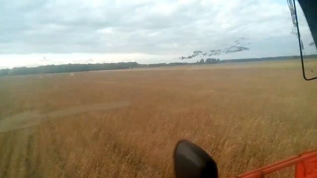 Конец уборки 2020 клаас тукано. смотреть онлайн