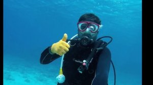Scuba Diving in Okinawa (July 28, 2016) at Marine House SEASIR Naha, Naha, Okinawa Prefecture
