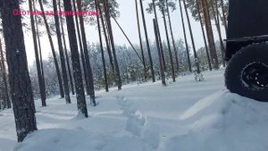 Приключение в Сортыме