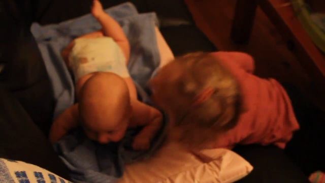 suslik DR 150 смотреть онлайн