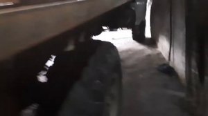 КрАЗ 260 в габарит   (202)