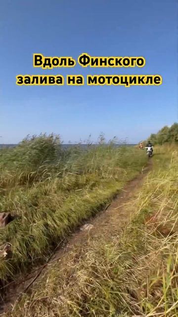 Вдоль Финского залива на мотоцикле. Мото курорт Сестрорецк Транспортная. #мотокурорт #shorts #short смотреть онлайн