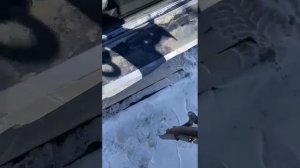 1000033107.mp4