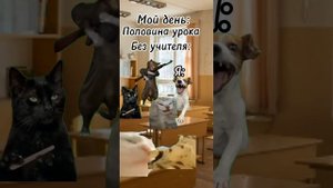 мой день, но это мемные коты😺#кот #реееееееееек #художник #активпж #кошки #котики #актив