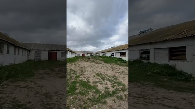 Заброшенные фермы России/ нашёл свиней на Ферме