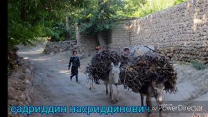 Салам салам ташкент