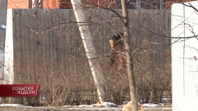Заключение договоров на мусор смотреть онлайн