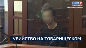 ВЕСТИ 24  Санкт-Петербург от 14.03.2025