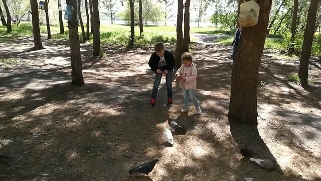 Влог. Семейный отдых в парке. Встретили Большую Ходячую Семечку. Покормили белочек и птиц
