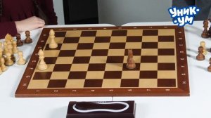 ШАХ И МАТ! Слон